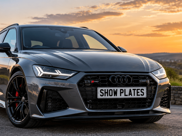 What Are Show Plates? Everything You Need to Know